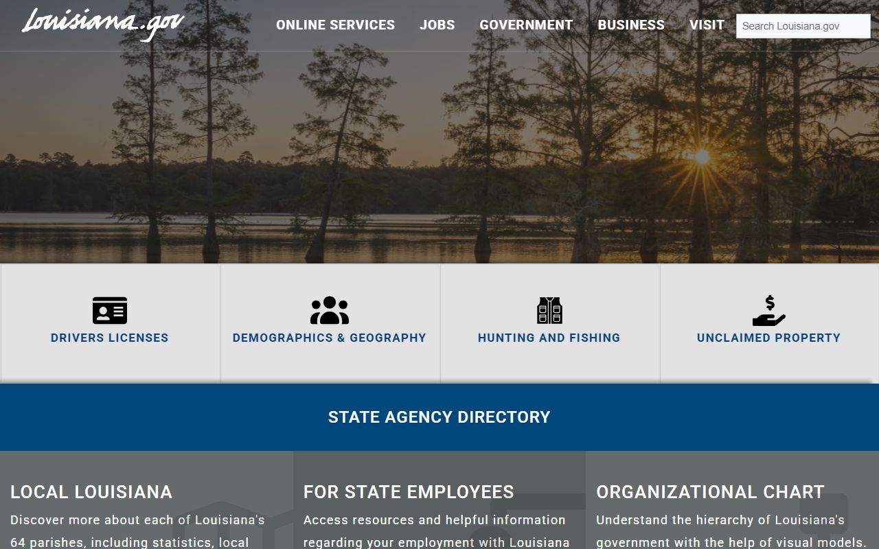Louisiana state government portal with resources for background check records